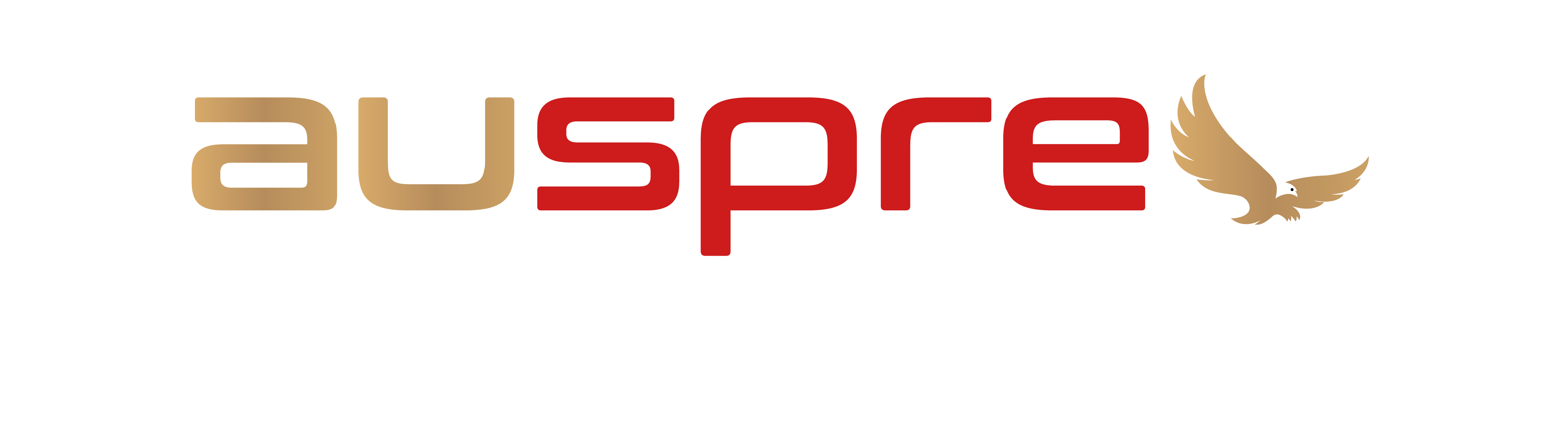 Auspre — Igniting Possibilities